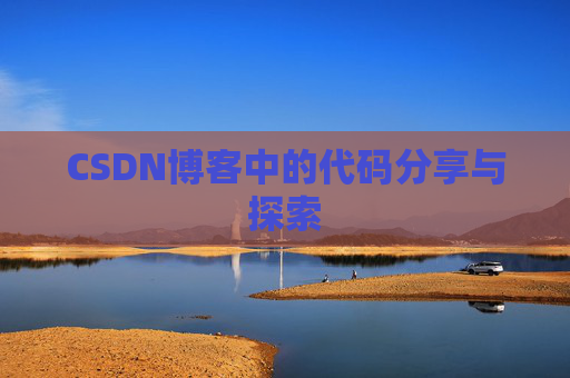 CSDN博客中的代码分享与探索